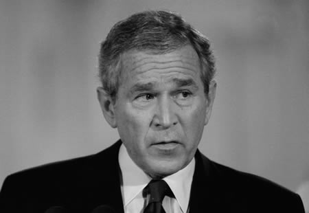 bush