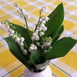 muguet.jpg